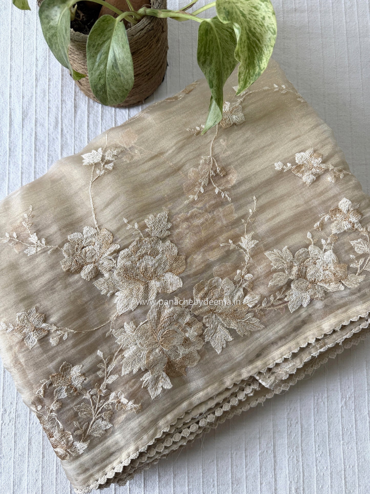 Tissue Organza saree with embroidery |Champaigne gold | E1