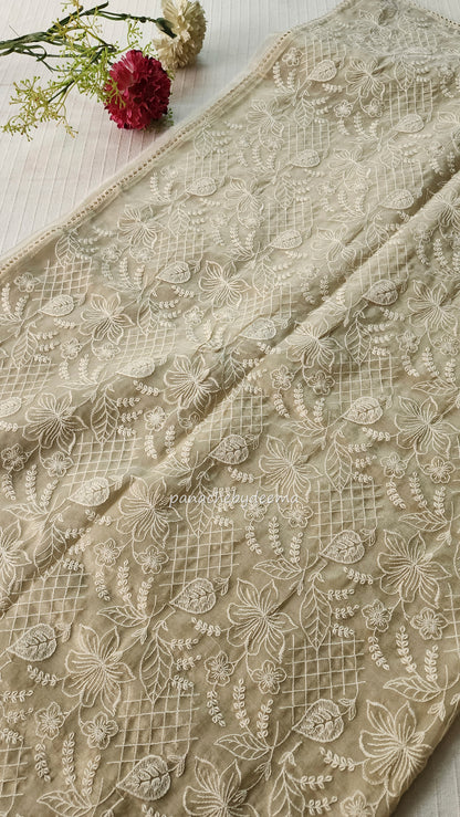 Glass tissue silk saree with full embroidery and crochet lace edges | Offwhite | S2