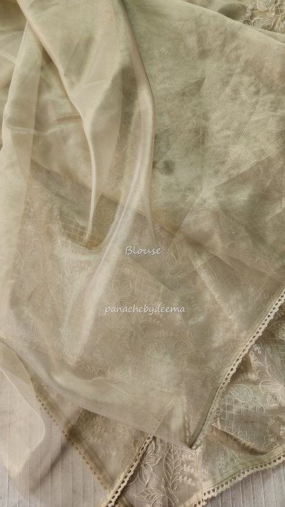 Glass tissue silk saree with full embroidery and crochet lace edges | Offwhite | S2