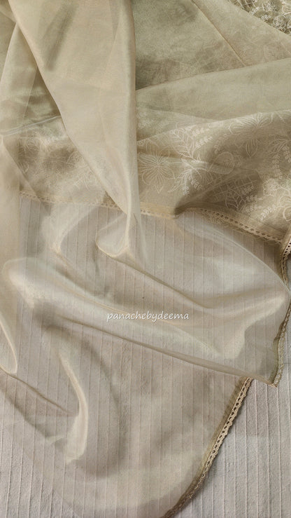 Glass tissue silk saree with full embroidery and crochet lace edges | Offwhite | S2