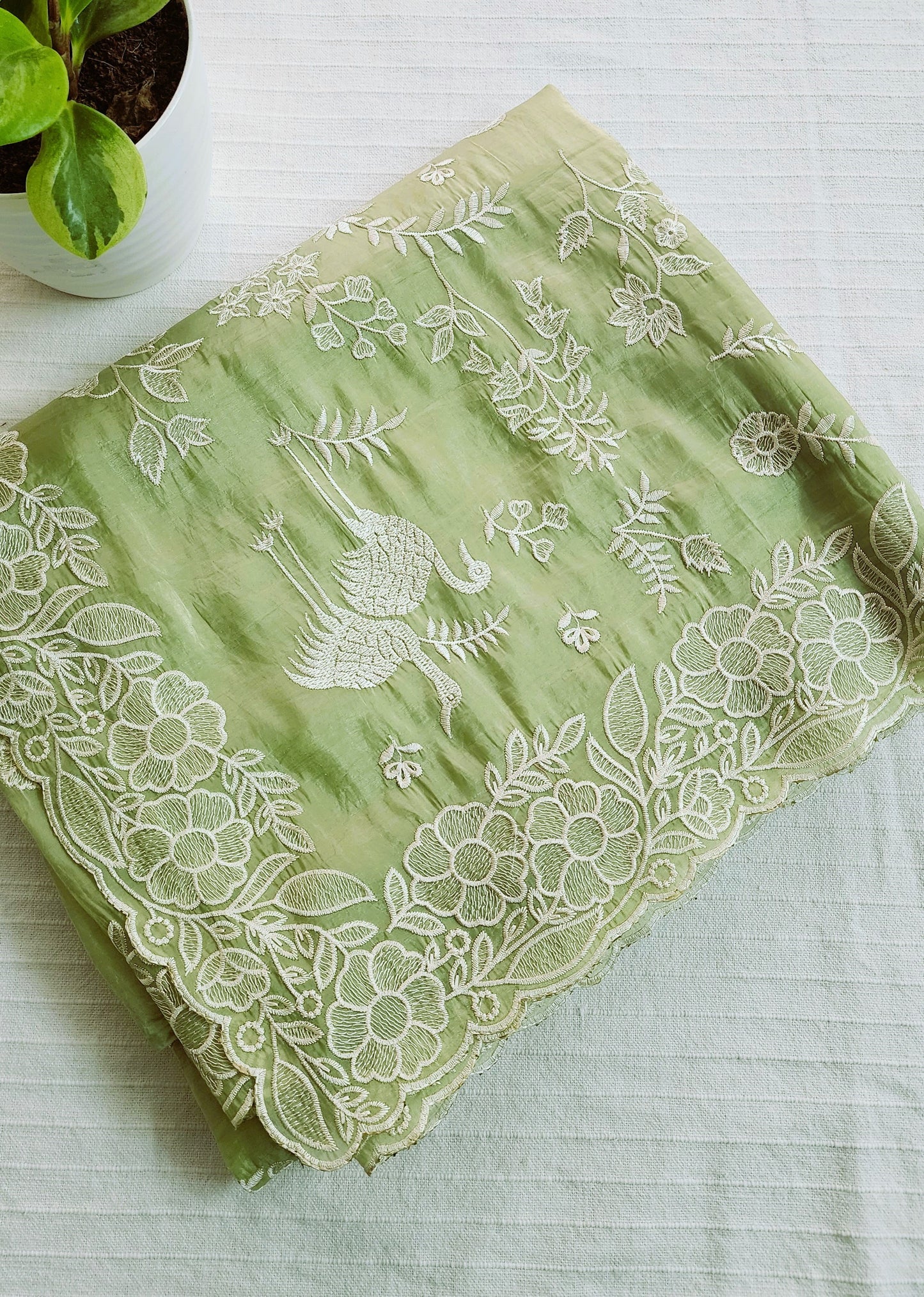 Crushed organza saree with embroidery and scalloped borders | Pastel green| CR1