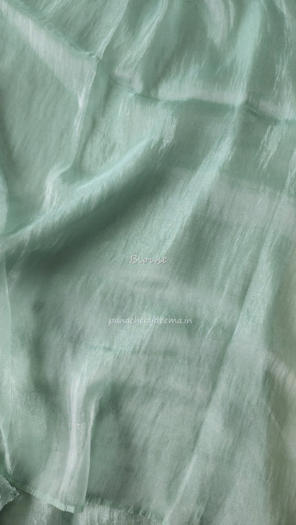 Tissue organza saree with applique work and embroidery |greenish blue| AST6