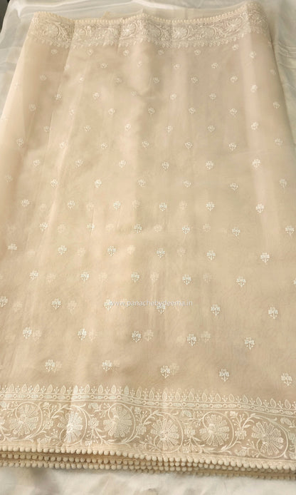 Organza saree with embroidery and lace edges | Cream| JH02