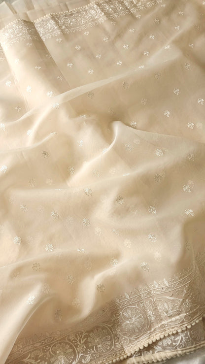 Organza saree with embroidery and lace edges | Cream| JH02