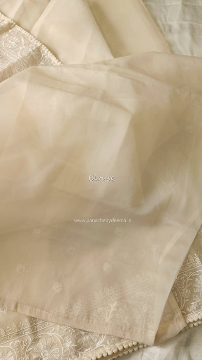 Organza saree with embroidery and lace edges | Cream| JH02