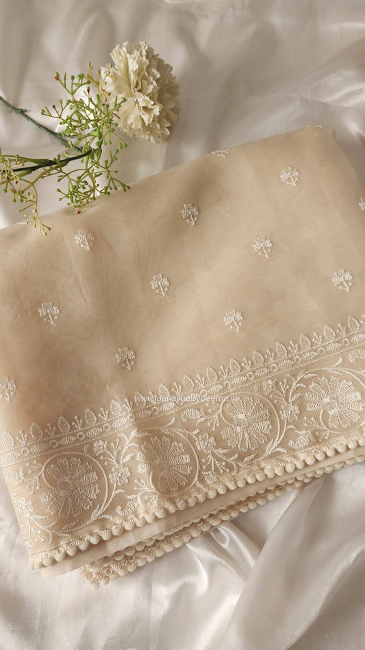 Organza saree with embroidery and lace edges | Cream| JH02