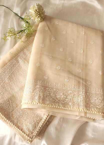 Organza saree with embroidery and lace edges | Cream| JH02