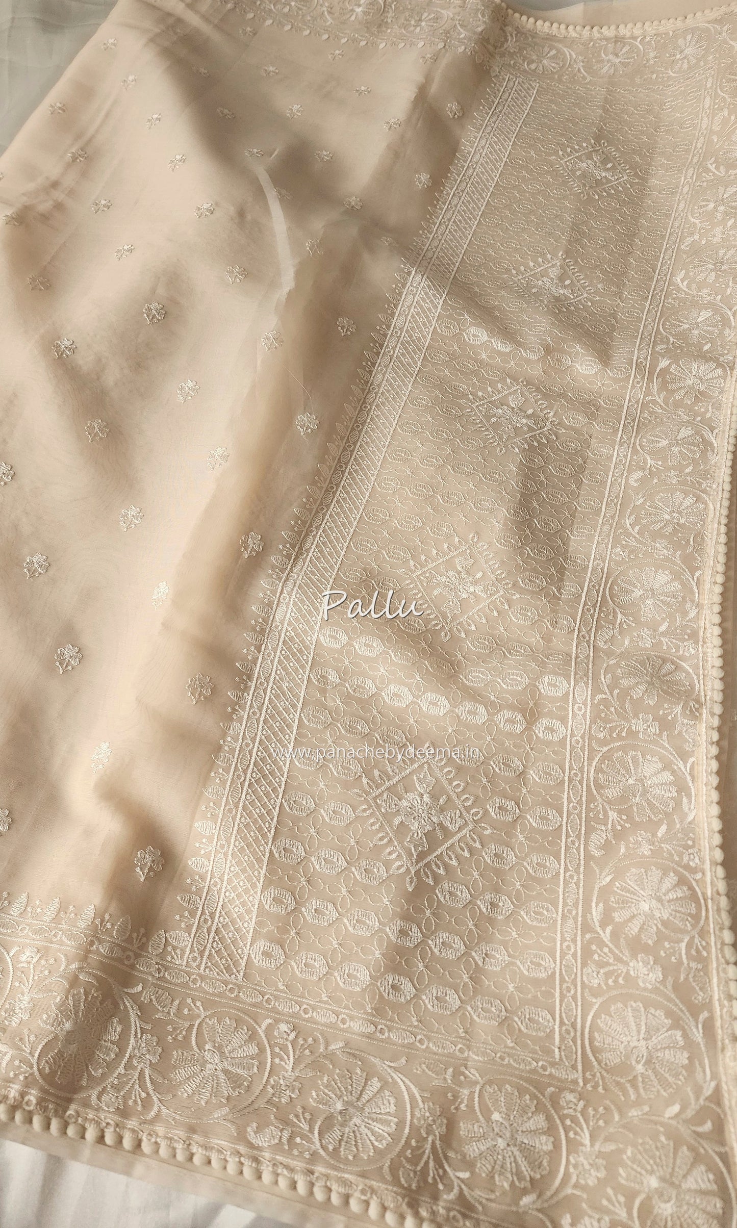 Organza saree with embroidery and lace edges | Cream| JH02