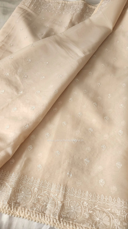 Organza saree with embroidery and lace edges | Cream| JH02