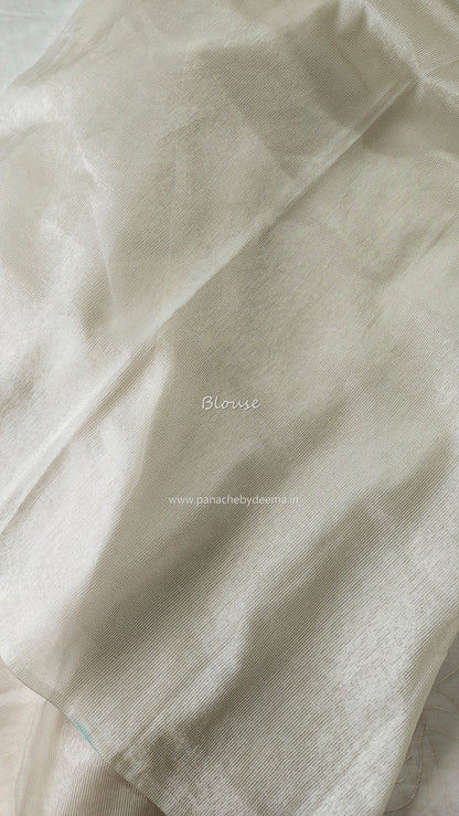 Organza saree with tissue applique work and embroidery |Ivory| TSA1