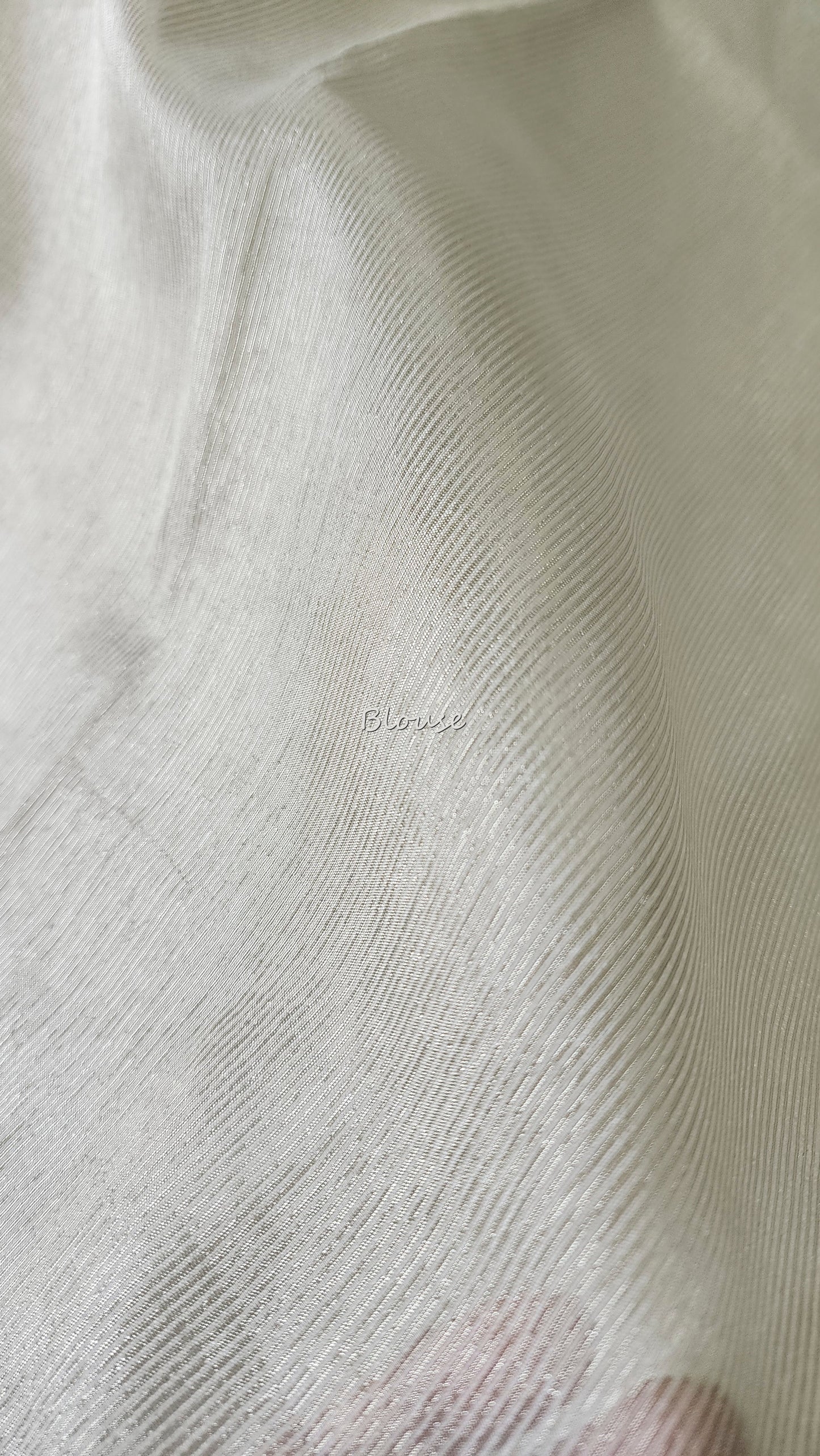 Organza saree with tissue applique work and embroidery |Ivory| TSA1