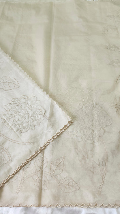 Organza saree with tissue applique work and embroidery |Ivory| TSA1