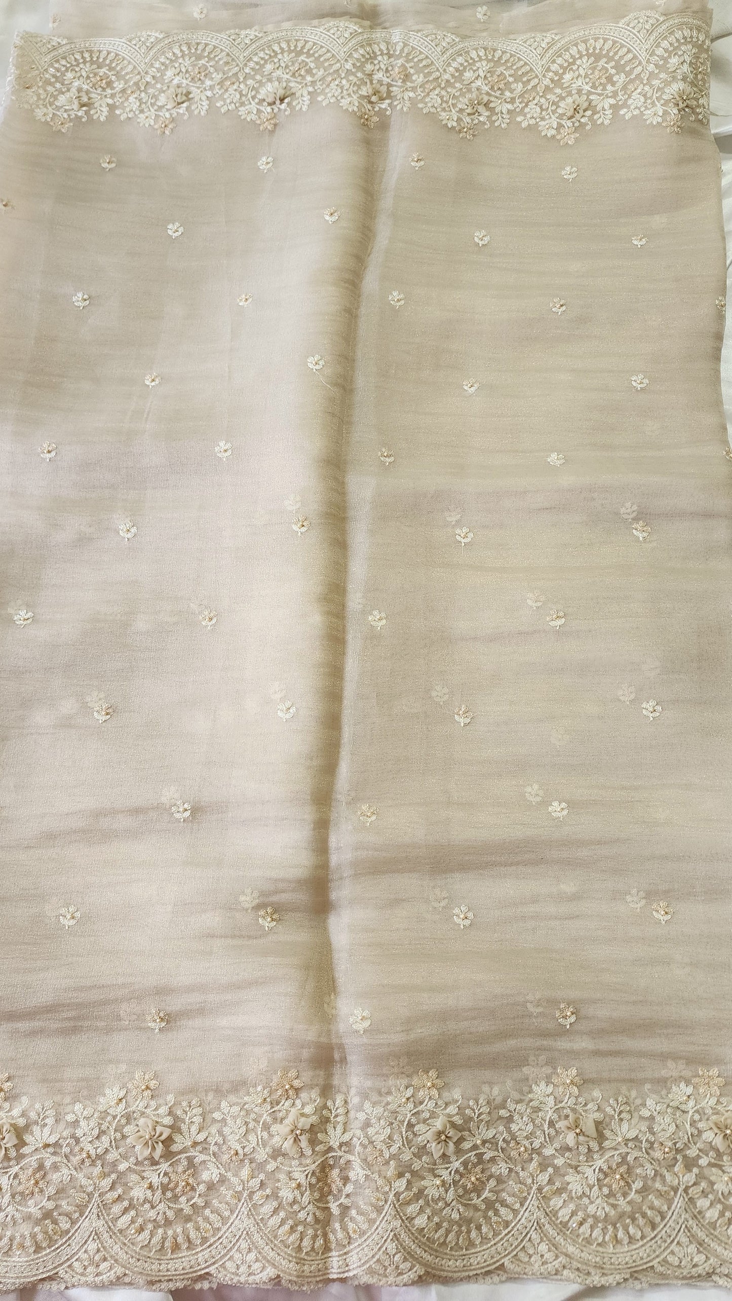 Tissue Organza saree with 3D applique work and embroidery |Champaigne gold | GL8