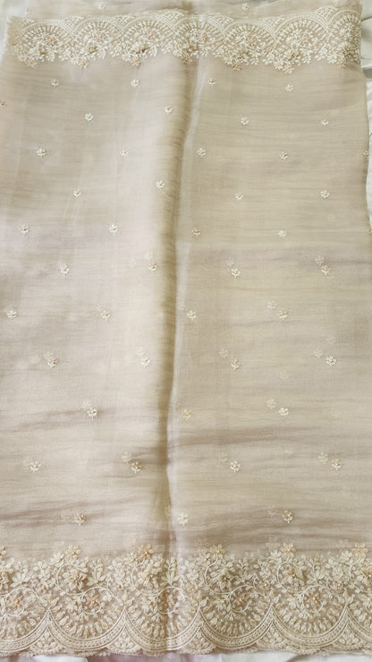 Tissue Organza saree with 3D applique work and embroidery |Champaigne gold | GL8