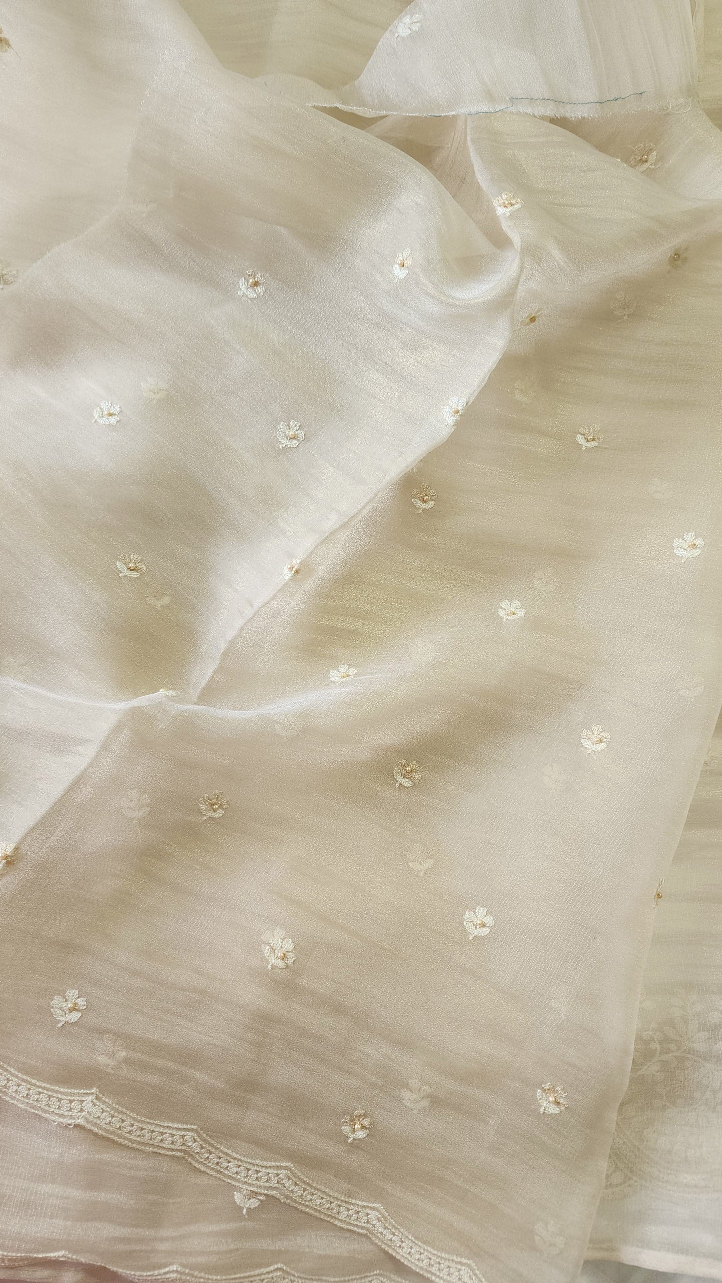 Tissue Organza saree with 3D applique work and embroidery |Champaigne gold | GL8