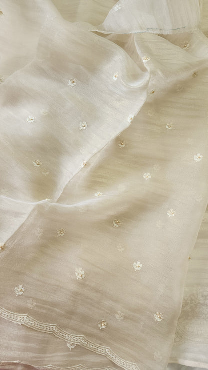 Tissue Organza saree with 3D applique work and embroidery |Champaigne gold | GL8