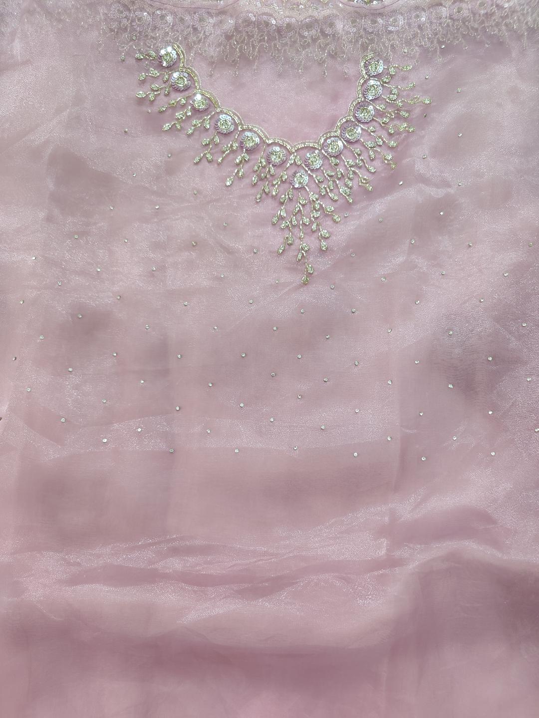 Organza saree with heavy handwork| Pastel pink | TS4