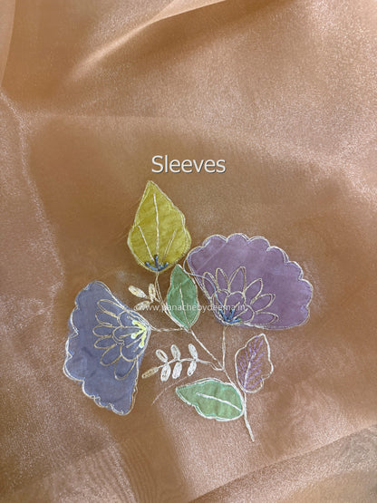 Glass Tissue Organza saree with multicolour applique work and pita embroidery| Peach | BA4(Copy)