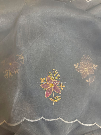 Glass Tissue Organza saree with multicolour applique work and pita embroidery| Powder blue| BA5