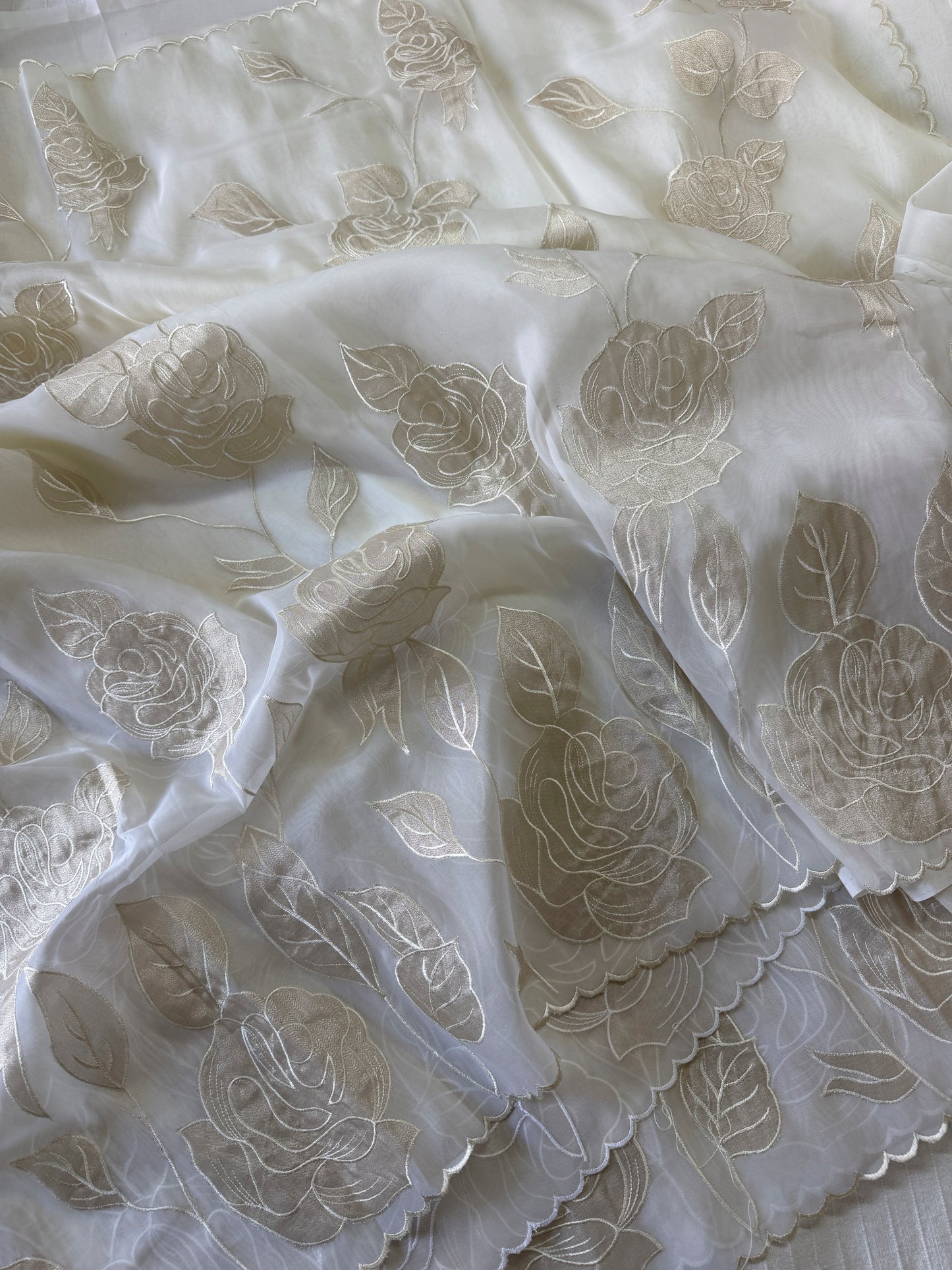 Soft Organza saree with tissue applique work and embroidery | Offwhite | AT1