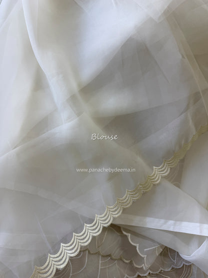 Soft Organza saree with tissue applique work and embroidery | Offwhite | AT1