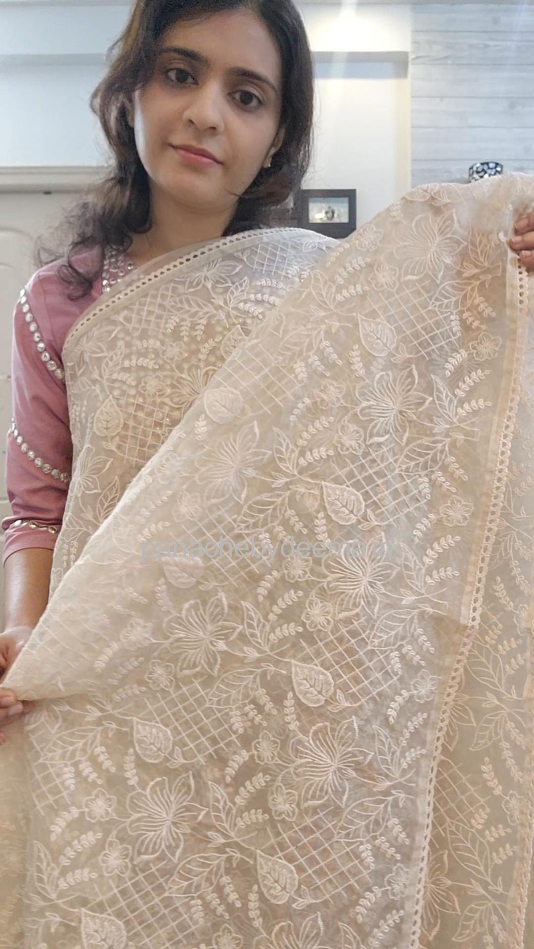 Glass tissue silk saree with full embroidery and crochet lace edges | Offwhite | S2