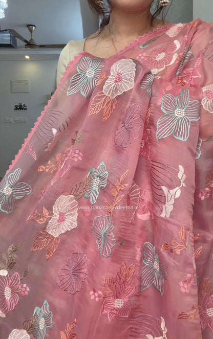 Organza saree with multi colour embroidery and lace borders | Peach | VS2