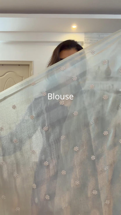 Crepe tissue saree with embroidery and scalloped borders | Slate Blue| CP1